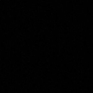 Meet your Posher, Diego